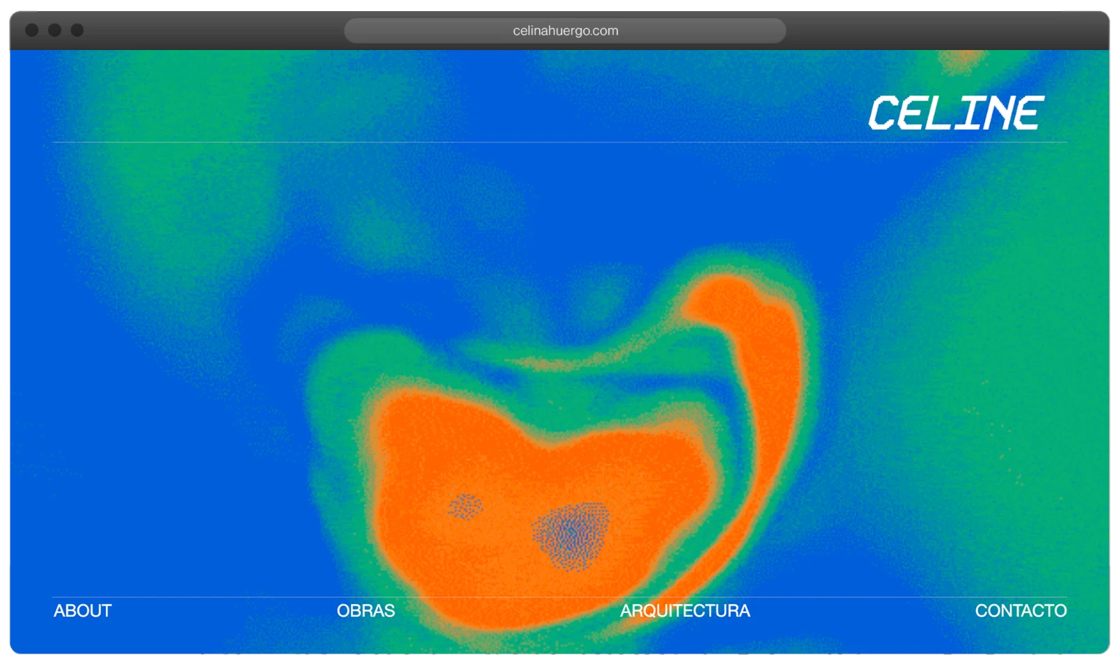 project-CelinaHuergo